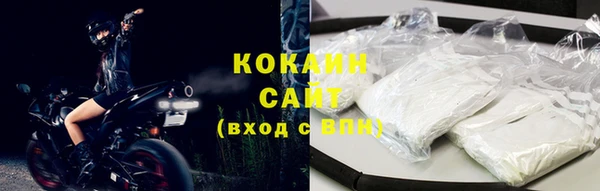 дживик Балахна