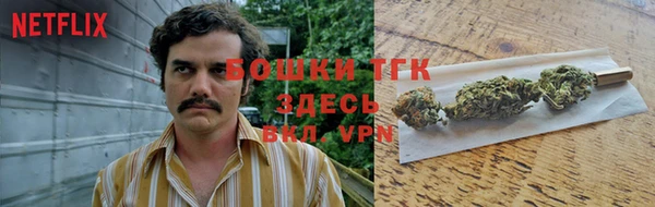дживик Балахна