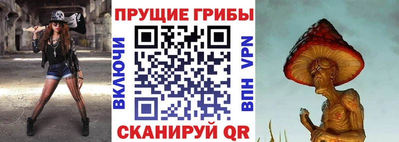 хочу наркоту Безенчук Псилоцибиновые грибы мухоморы